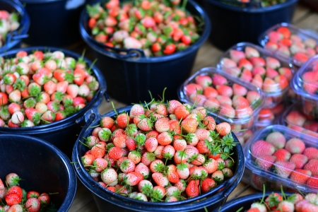 Fresh Strawberriesの写真素材