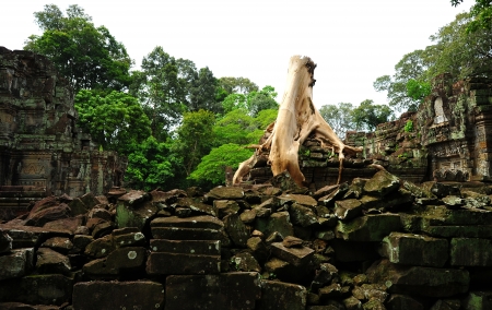 Ruin of Temple in Angkor Thom, Cambodia の写真素材