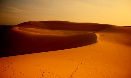 Endless Sand Dune Landscapeの写真素材