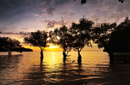 Beautiful Sunrise on Beachの写真素材