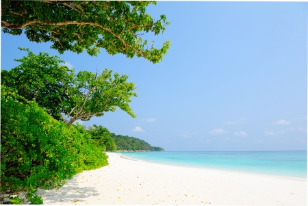 Virgin White Sand Beach on the Island of Southern Thailandの写真素材