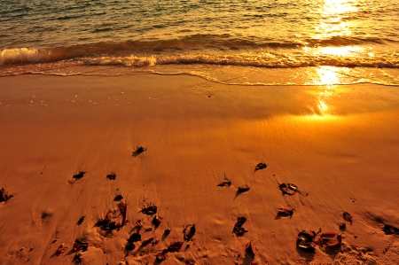 Wave Pattern on Beachの写真素材