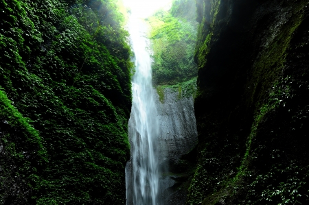 Mossy Green Waterfall in Tropical Rainforestの写真素材