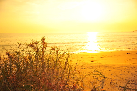 The Beach with Beautiful Sunsetの写真素材