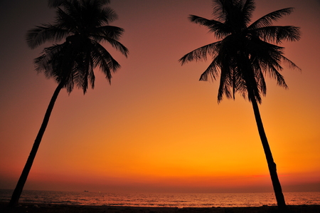Beautiful Beach at Sunset Backgroundsの写真素材