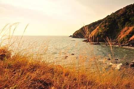 Sea at Sunset Backgroundsの写真素材