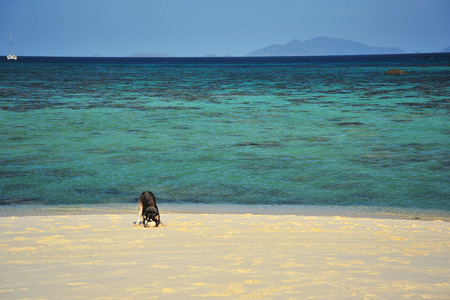 Paradise Beach on Tropical Islandsの写真素材