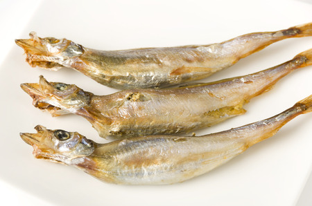 Japanese food Shishamo, Grilled fish capelin on plateの写真素材