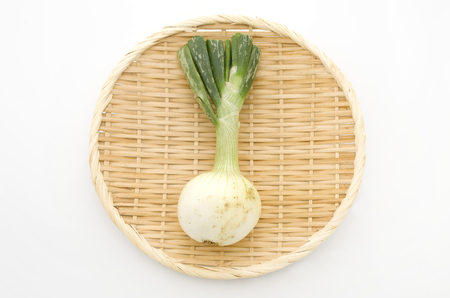 season-fresh onionの写真素材