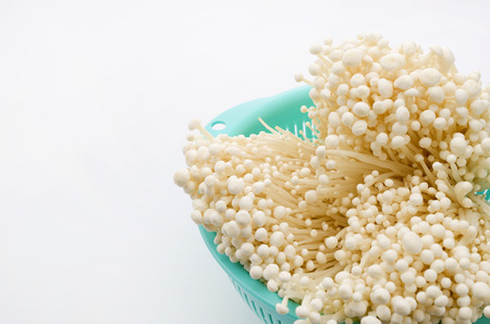 Enoki  mushroomの写真素材