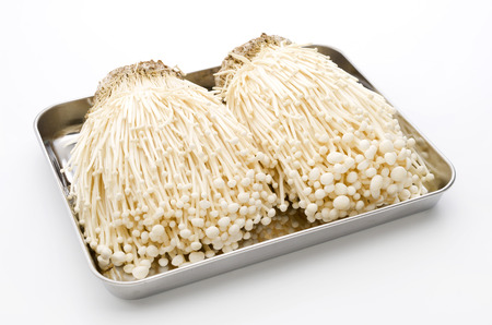 Enoki  mushroom