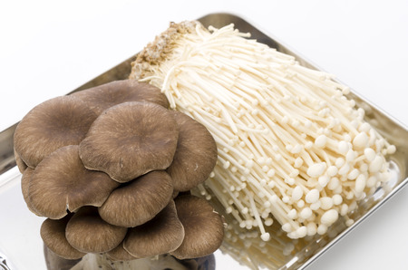 Oyster mushroom and Enoki  mushroom
