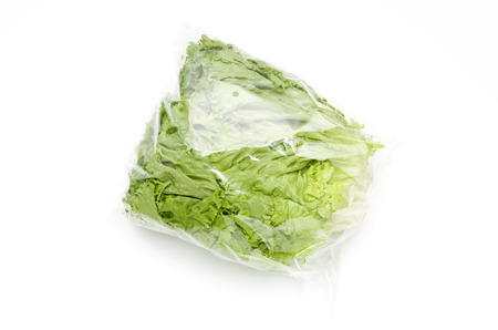 green leaves lettuceの写真素材