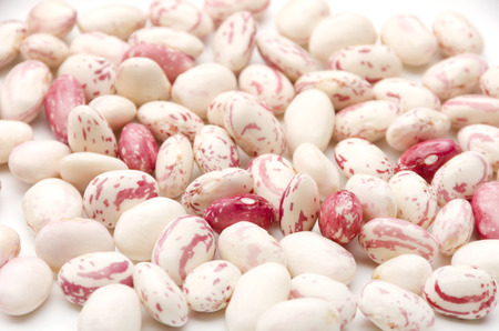 borlotti beans