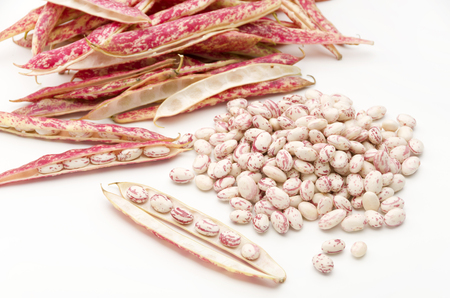 borlotti beansの写真素材