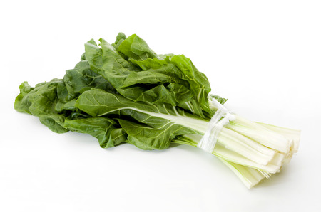chard leaves on a white backgroundの写真素材