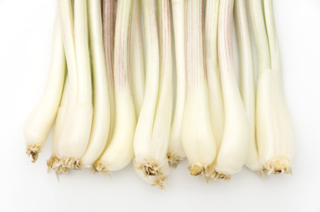 Rakkyo Shima, Okinawa Shallotの写真素材