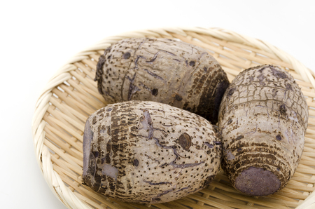 Ta-NM, Japanese Taro,の写真素材
