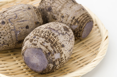 Ta-NM, Japanese Taro,の写真素材