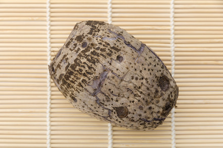 Taimo, Japanese Taroの写真素材