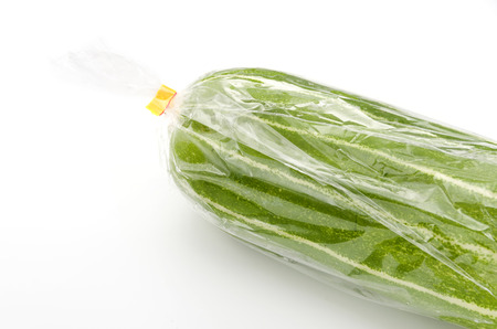 Oriental pickling melon, Cucumis melo var. conomon, shirouri,の写真素材