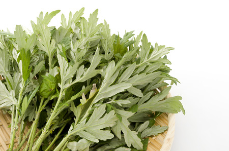 mugwortの写真素材