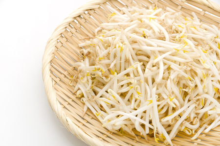 Bean sproutsの写真素材