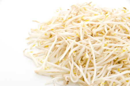 Bean sproutsの写真素材