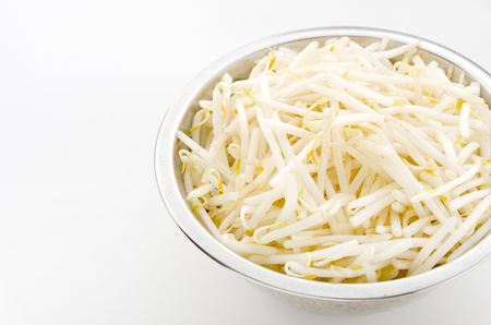 Bean sproutsの写真素材