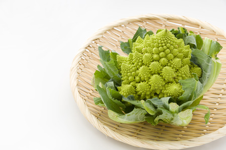Romanesco broccoli  or Roman cauliflowerの写真素材