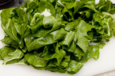 green swiss chardの写真素材