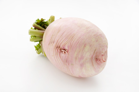 Red Japanese radish, Daikon Beni shigure.の写真素材