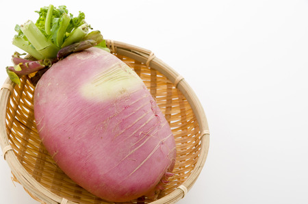 Red Japanese radish, Daikon Beni shigure.の写真素材