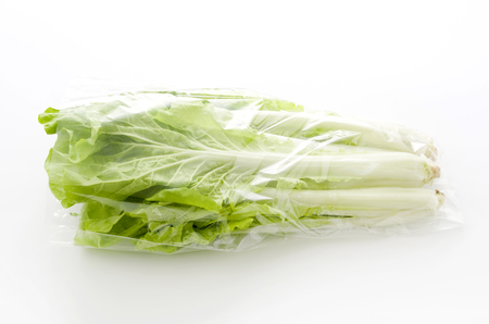 Shantung vegetables, a genus of Chinese cabbage called 'santou-na'の写真素材