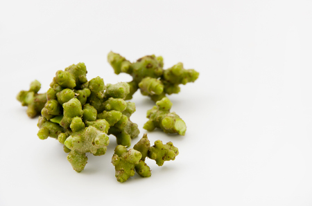 Madeira vine, UNNANHYAKUYAKU, Okawakame, Akazakazura, Propaguleの写真素材