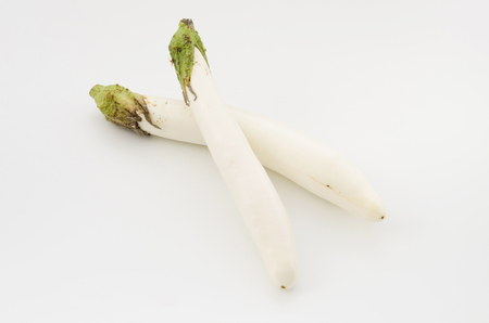 Long thin white eggplantの写真素材