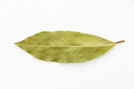 Dried bay leaves isolated on white background