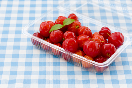 Tropical fruit called Pitanga, Brazilian cherry, Suriname cherryの写真素材