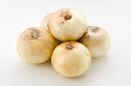 season-fresh onion, onion newの写真素材