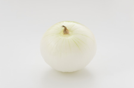season-fresh onion, onion newの写真素材