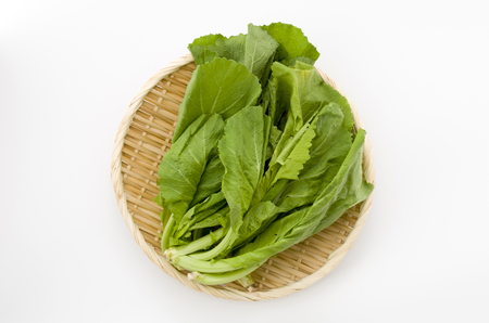 fresh Mustard greens White Backgroundの写真素材