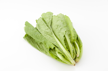 fresh Mustard greens White Backgroundの写真素材