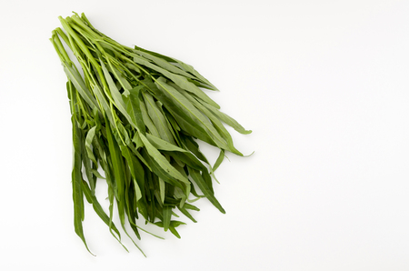 Chinese Morning Glory on white backgroundの写真素材