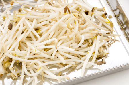 Bean sprouts on stinless steel tray on white background.の写真素材