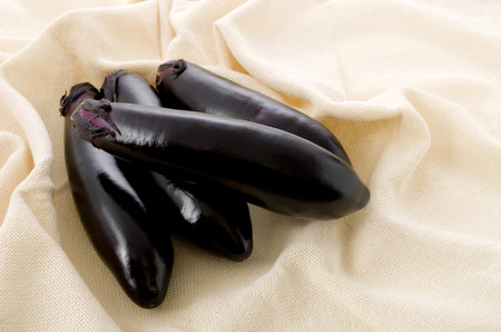 Raw black eggplant on Steamed clothの写真素材