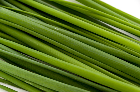 green onions backgroundの写真素材