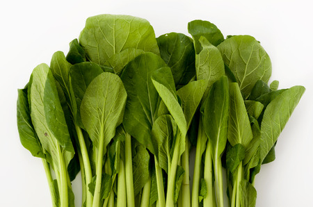 Komatsuna, Japanese Mustard Spinach