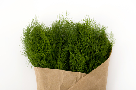 Fennel wrapped in craft paper on white backgroundの写真素材