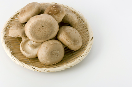 Shiitake mushroom in bamboo colander on White backgroundの写真素材