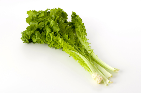 wasabi greens on white backgroundの写真素材